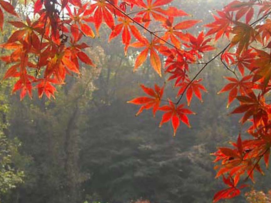 �紺����ҵ 068.jpg