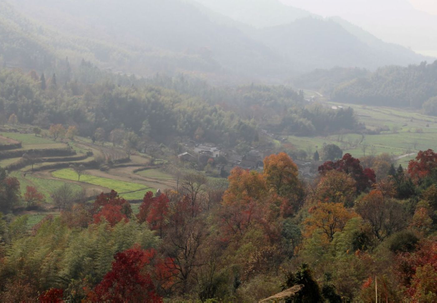 ����1 838-1.jpg