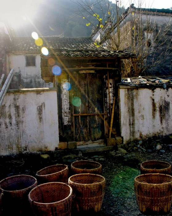 ��÷Ӣ (2) ����.jpg