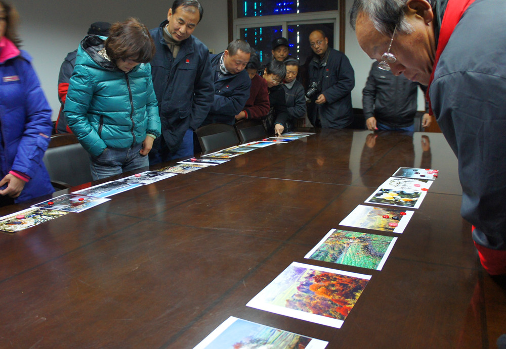 ��Ա����ϸ�۲�ͶƱ