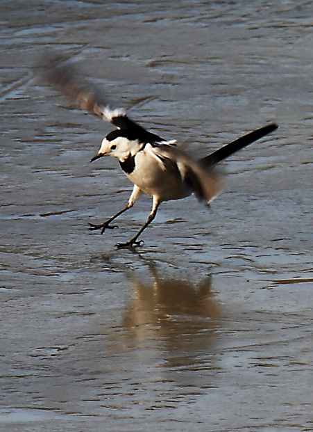 _MG_4650 ����.jpg