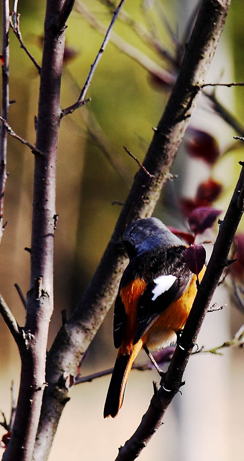 _MG_4666 ����.jpg