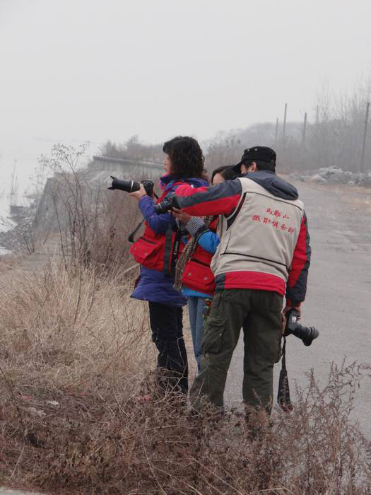 ����1 (10).JPG