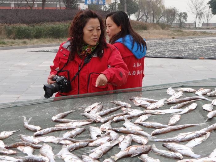 ����1 (13).JPG