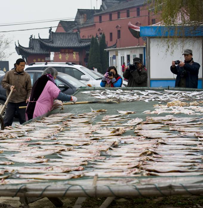 ����1 (8).jpg