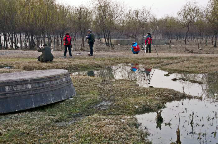 ����1 (22).JPG