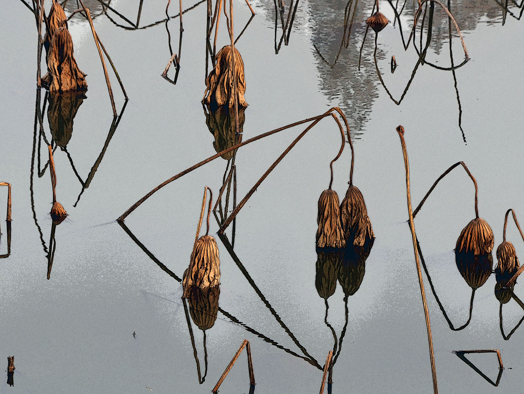 �人�����Ĳк�