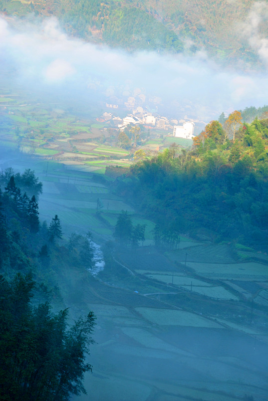 ��ׯ 195_����.jpg