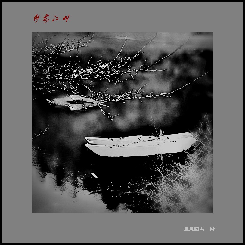 ���� DSC2.jpg