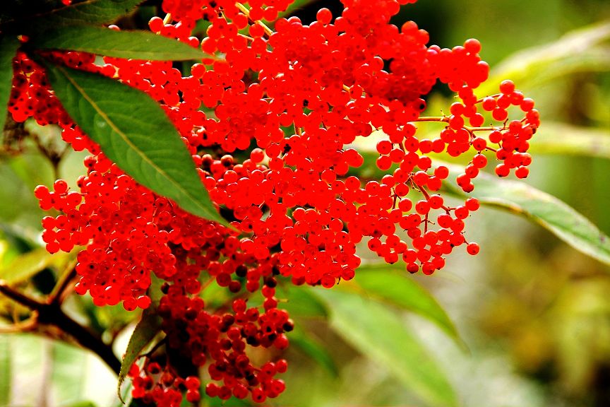 Ұ�����ƻ�