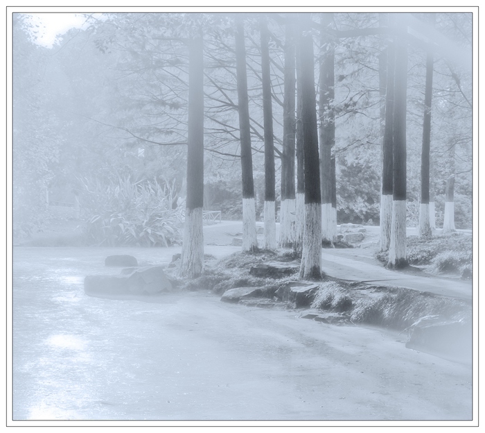 _MG_6192 ����.jpg