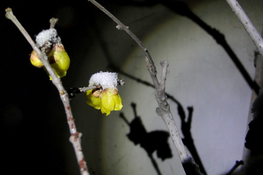 ���� DSC01547.JPG