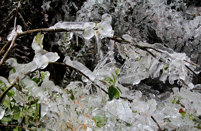 ���绨һ��