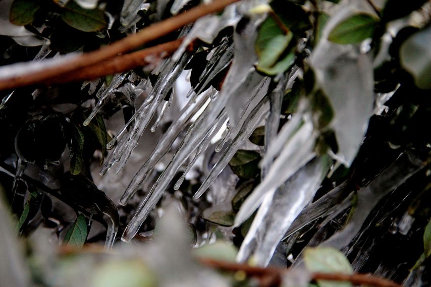 ���绨һ��