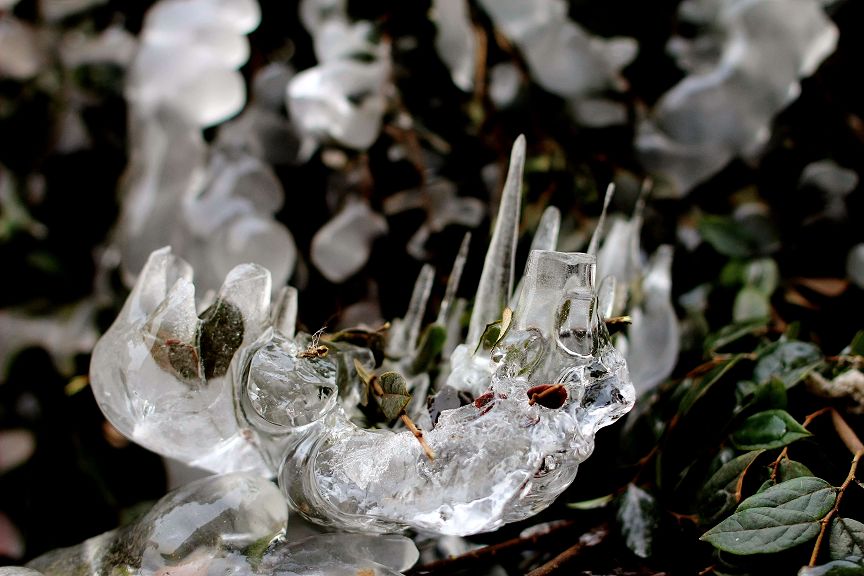 ���绨һ��