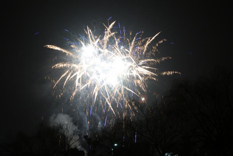 ���� (2) DSC04138.JPG