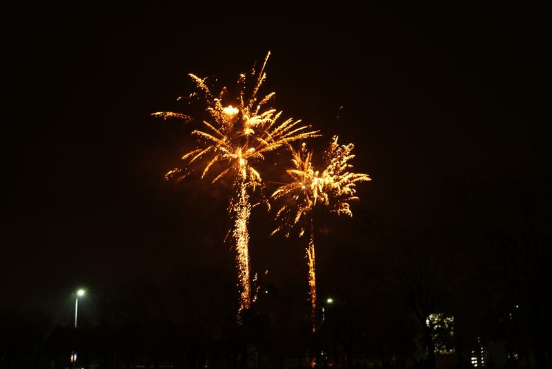 ���� (2) DSC04141.JPG