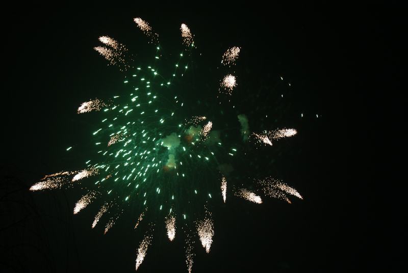 ���� (2) DSC04112.JPG