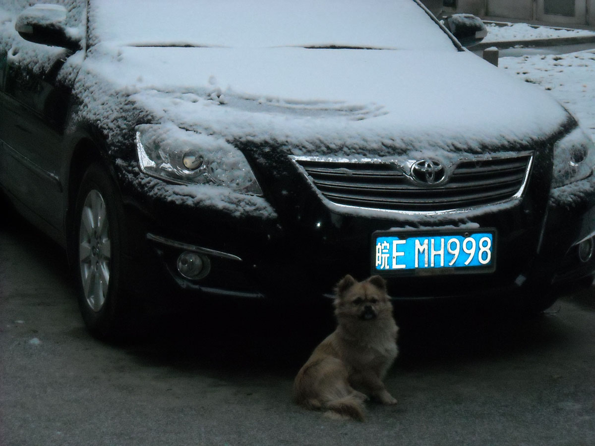 DSCN0580 ����.jpg