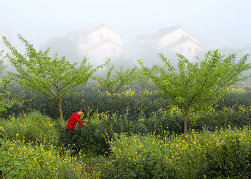 ��ɽ��ɫ ��ǿ.jpg