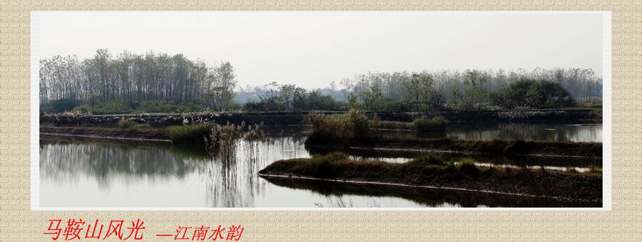 ����1 381-88.jpg