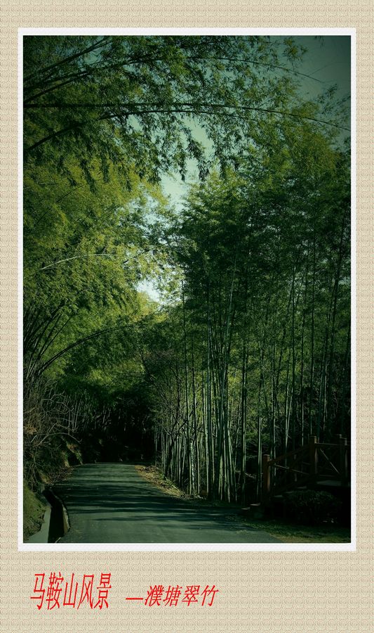 ��� 049-88.jpg