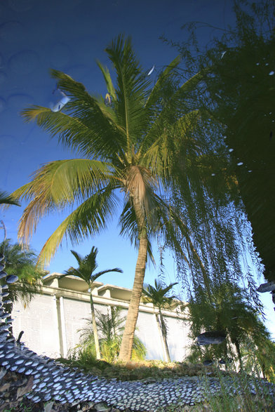 ���� IMG_3170.JPG