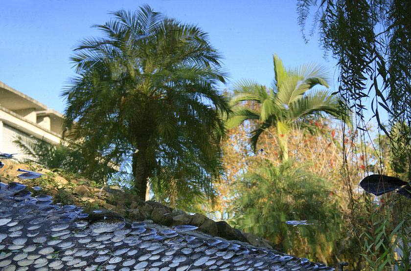 ���� IMG_3171.JPG