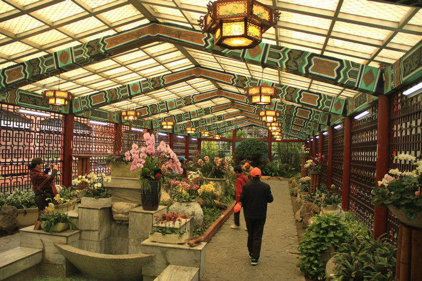 ���� IMG_3726.JPG