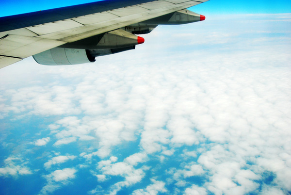 01 DSC_4999_conew1.jpg