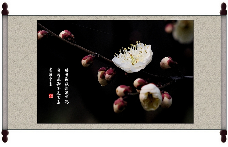 DSC_514512 1����.jpg