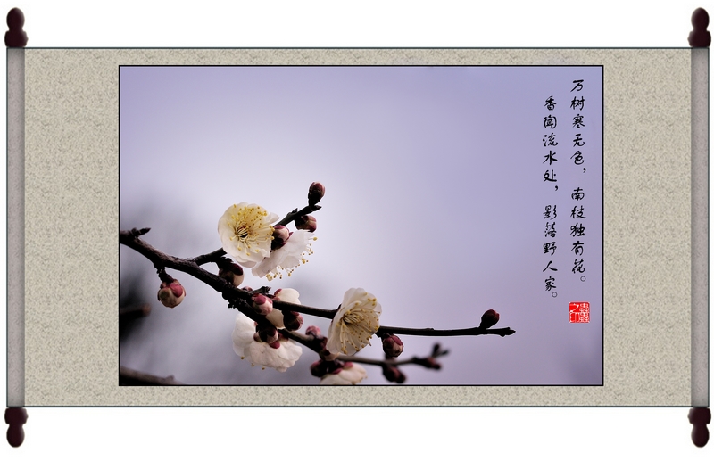 DSC_5145 ��������.jpg