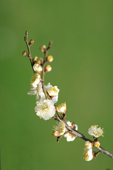 ���� IMG_3993.JPG