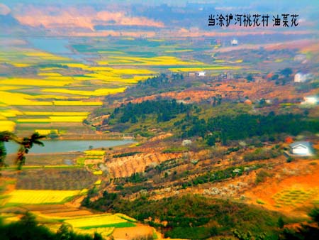 ���� DSCF0156_conew1.jpg