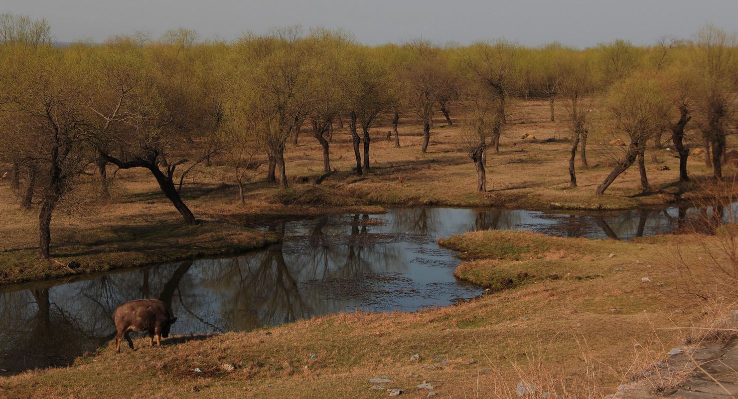 2012.3.24����ʪ�� 336-2.jpg