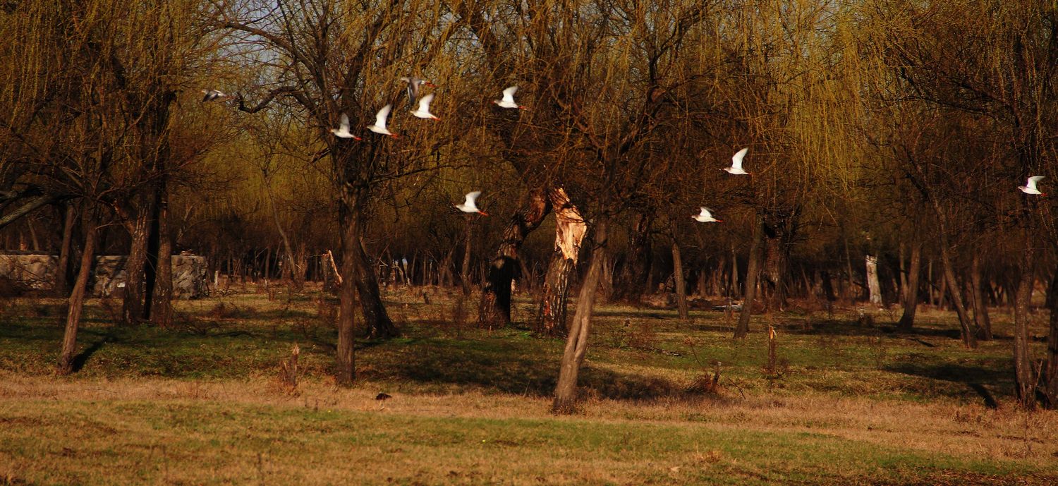 2012.3.24����ʪ�� 297-2.jpg