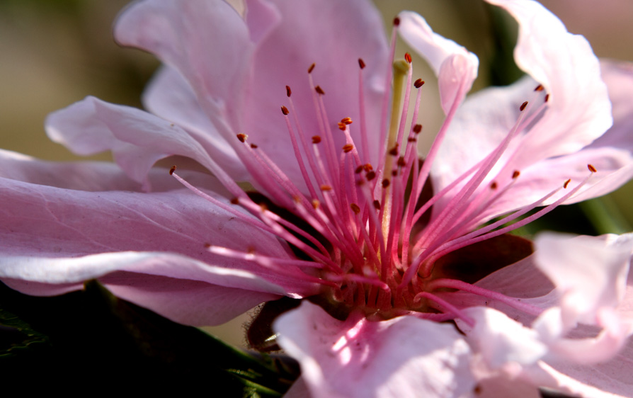 _MG_5403 ����.jpg