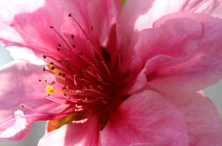 _MG_5413 ����.jpg