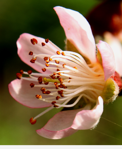 _MG_5397 ����.jpg