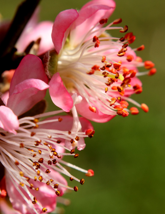 _MG_5414 ����.jpg