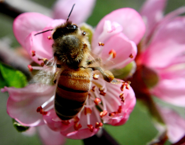 _MG_5393 ����.jpg