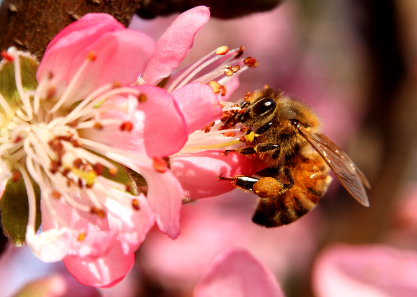 _MG_5460 ����.jpg