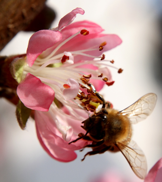 _MG_5457 ����.jpg