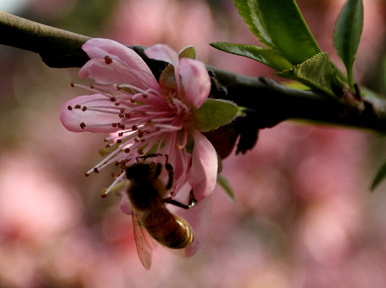 _MG_5492 ����.jpg