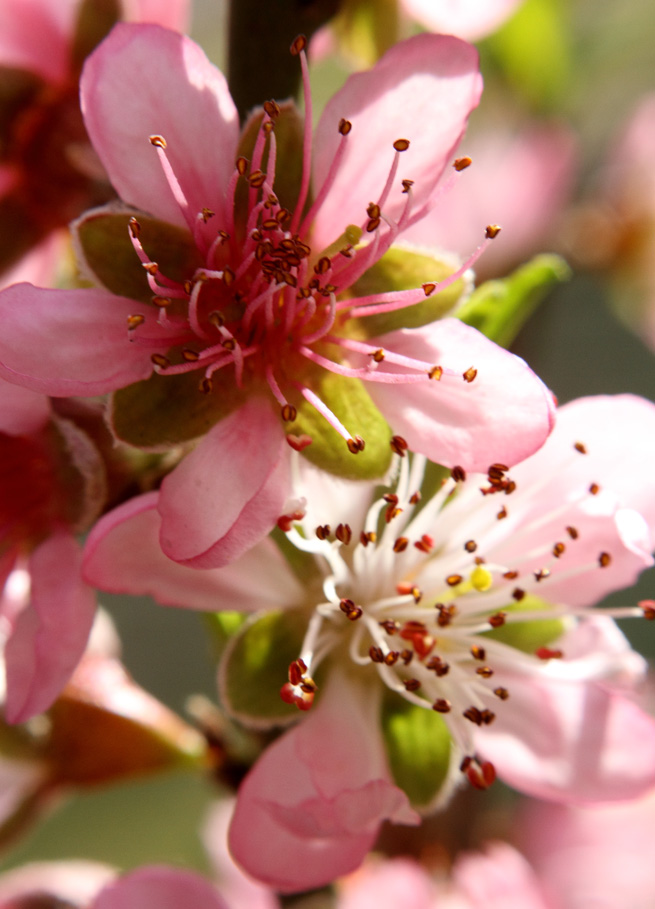 _MG_5436 ����.jpg