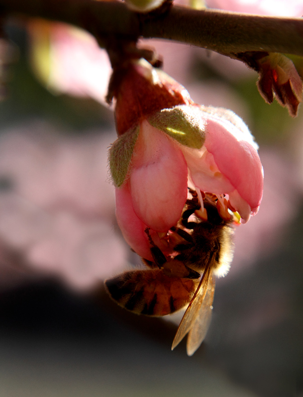 _MG_5430 ����.jpg