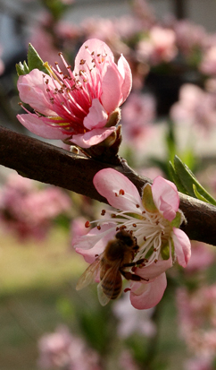 _MG_5495 ����.jpg