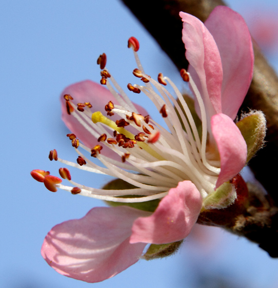 _MG_5438 ����.jpg