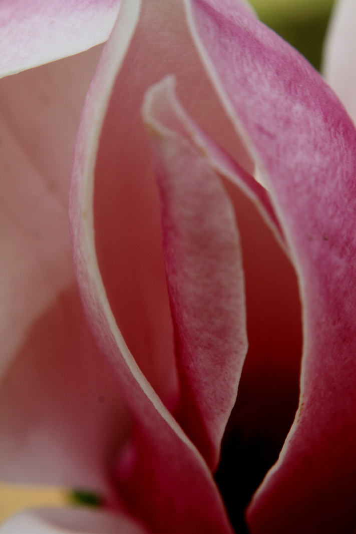 _MG_5488 ����.jpg