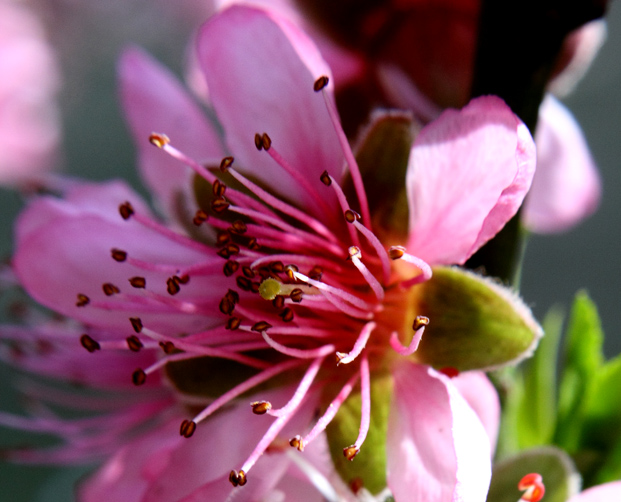 _MG_5463 ����.jpg